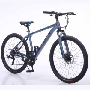Vélo de ville <span class=keywords><strong>VTT</strong></span> avec panier <span class=keywords><strong>avant</strong></span> et <span class=keywords><strong>porte</strong></span>-bagages arrière 26 pouces Vente en gros - Product Image 6