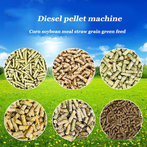 Venta caliente de materia prima a <span class=keywords><strong>pellets</strong></span> nutritivos máquina de peletización de alimentación de proceso innovador para uso doméstico - Product Image 4