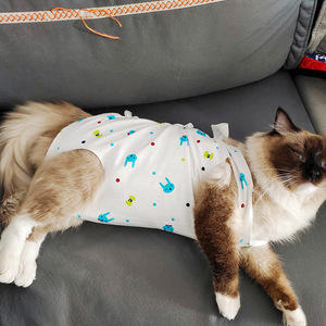 Traje de esterilización para gatos, de algodón transpirable, anti-lamido, ropa posquirúrgica para gatos, diseño lindo. - Product Image 1