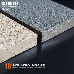 20mm porselen açık isıya dayanıklı Anti kayma ucuz mat Finish dış DUVAR KAROLARI