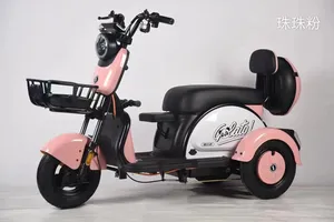Triciclo eléctrico cerrado de 800/1000W Vehículo de pasajeros cerrado de tres ruedas con kilometraje de conducción de 30km Certificado EEC/DOT/GCC - Product Image 6