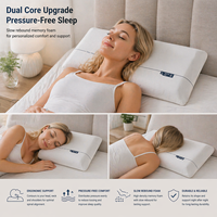 Oreiller en mousse à mémoire de forme à rebond lent, rembourré en tissu moderne, pour le soulagement des douleurs cervicales (vente en gros)