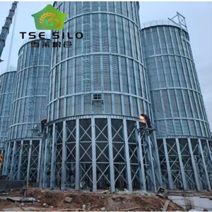 Silo de stockage de céréales (blé, paddy, graines de tournesol) pour projet clé en main - Product Image 5