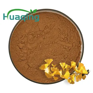 ISO Nhà Máy Cung Cấp Gingko Biloba Chiết Xuất