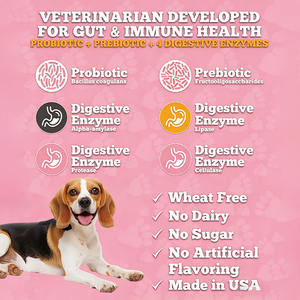 Probiotiques Flora Shield pour chiens OEM ODM à puissance maximale, avec enzymes digestives et prébiotiques, 120 comprimés à mâcher pour une <span class=keywords><strong>flore</strong></span> <span class=keywords><strong>intestinale</strong></span> saine - Product Image 4