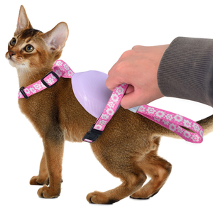 ペット用品カスタム新しい犬ペットベストハーネス小中犬用の調節可能な通気性のある快適な犬のハーネス - Product Image 6