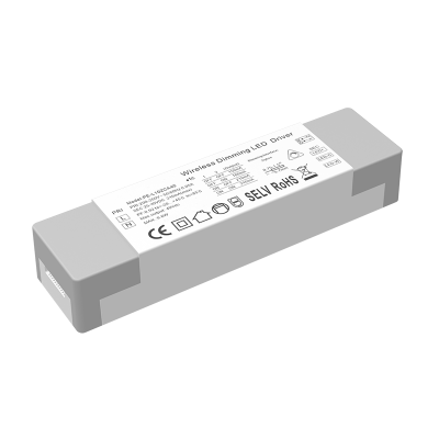 Smart LED Driver 2-Channel Color Temperature Controller for Tuya WiFi Zigbee Dimmable APP Single Plastic Housing