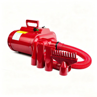 EUR PET Vente en gros Sèche-cheveux pour animaux de compagnie 2400W, vitesse variable 110-240V pour le toilettage des chiens