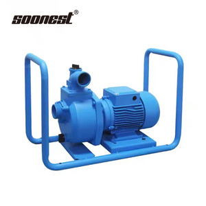 Automatic Self Priming Water <b>Suction</b> Booster <b>Pump</b> Heavy Duty River Surface Centrifugal Solar Water <b>Pump</b> According to Power 24 Vo - Product Image 6