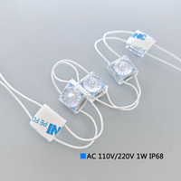 Module LED Mini DiWei de Haute Qualité Smd3030, Lampe Simple 1W, Haute Luminosité, AC 220V/110V, Étanche IP68, Ra80, 10000K, Garantie 3 Ans