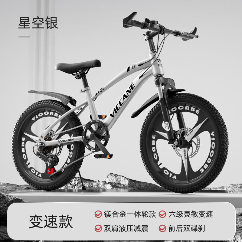 Roue à vitesse variable intégrée en argent étoilé