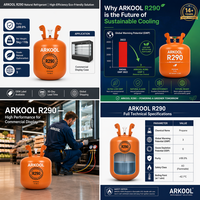 Gas ARKOOL R290 con 99.9% de Pureza, Propano GWP 3 para Bombas de Calor, Mejor que el Refrigerante Anterior, Certificación CE DOT