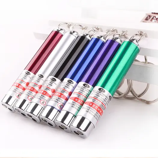 4mW Keychain Laser Pointer 2 In 1 Light Lazer Red Laser Lazer Pointer Pen + LED Light Torch Cat Dog Fun Toy No Battery