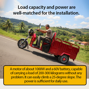 Triciclo Eléctrico Mini Barato de China, Triciclo de Carga para Transporte de Pasajeros, Triciclo de Carrocería Abierta, Motocicleta de 3 Ruedas para Adultos - Product Image 5