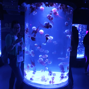 Acuario rectangular de acrílico moderno de fabricante experimentado con el mejor precio, gran tamaño especial acuario de medusas acrílicas @ - Product Image 4