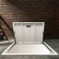Porte souterraine invisible entièrement automatique avec moteur haute puissance, porte d'accès spéciale pour sous-sol, usage domestique