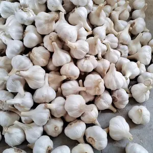 Harga bawang putih kupas pasar/bawang putih putih salju segar/bawang putih segar putih murni