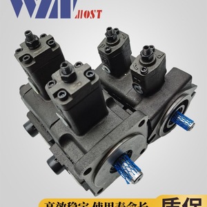 ปั๊มวาล์วแปรผัน Winmost รุ่น VP DF 12A B12C D ปั๊มน้ำมันไฮดรอลิกสำหรับใช้งานในอุตสาหกรรม - Product Image 3