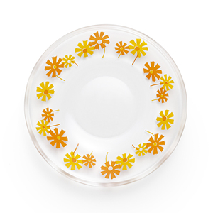 Platos Apilables de Vidrio Transparente con Diseño de Cosmos, Redondos y Planos, para Regalo - Product Image 1