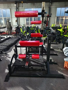 Thương mại Nghịch đảo Curl phòng tập thể dục tập luyện thiết bị trở lại huấn luyện viên tấm nạp lại chuỗi sau phát triển - Product Image 4