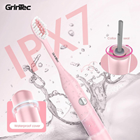 Brosse à dents électrique rechargeable avec têtes interchangeables, étui de voyage fin, logo personnalisé, sonique, OEM, pour adultes, Chine 2025