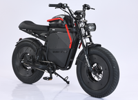 Moto électrique tout-terrain E Dirt Bike 500W 48V 21Ah 50km/h avec pneus larges 20x5 pouces, frein à disque hydraulique, E-Bike Pro