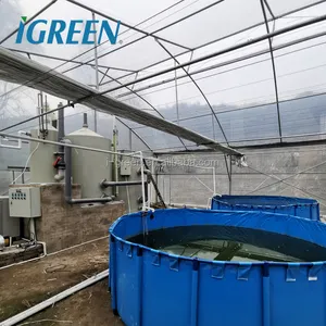 Sistema de aquacultura de recirculação interna para peixes