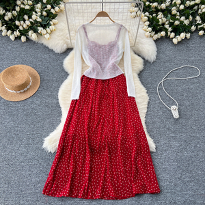 Cộng Với Kích Thước Thanh Lịch 2 Mảnh Thiết Lập Cho Phụ Nữ Hàng Đầu Và Cao Eo Hoa In Mỏng xếp li Dệt Kim Ăn Mặc Đặt Cục máu đông - Product Image 5