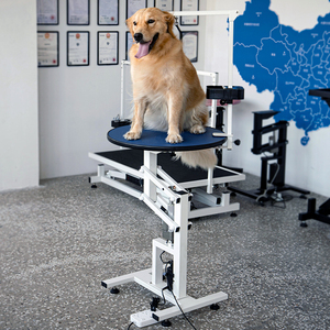 <span class=keywords><strong>Table</strong></span> de toilettage pour animaux de compagnie en acier inoxydable Lehuo avec fonction de levage électrique, élimination des poils, source d'alimentation rechargeable - Product Image 3