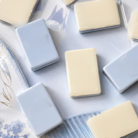 Tuiles de Mahjong Américaines Apres Mahj, Ensemble de Tuiles de Mahjong Personnalisées sur le Thème du Ski, Tuiles de Mahjong de Luxe pour Soirée de Jeu