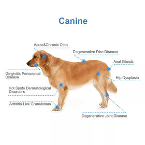 Máquina de Terapia Láser Veterinaria Curelas Clase 4 para la Curación Postoperatoria y la Recuperación de Heridas en Perros - Product Image 5
