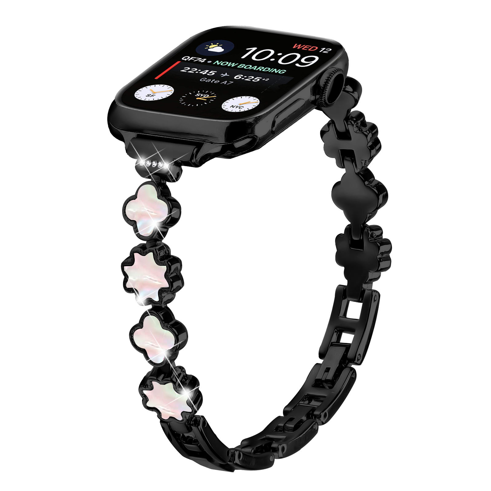 เปลือกหอยสังข์สีดำ