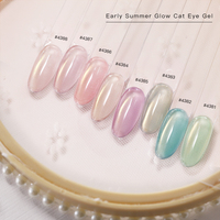 1KG OEM Marque Privée 8 Couleurs Gel Polish Magnétique Cat Eye Haute Pigmentation Non Toxique Luxe Français Designer Effet Éclat d'Été Précoce