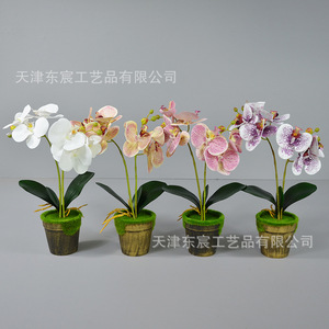 Orchidée Phalaenopsis artificielle, bonsaï, 40 cm, plante en soie, décoration d'intérieur, accessoires de mariage, rose, blanc, champagne, violet - Product Image 4