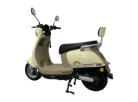 Trottinette Électrique 600W 48V 60V pour Adulte avec Assistance au Pédalage, Vélo Électrique 50km/h, Moto de Commutation Domestique, Exportation Transfrontalière