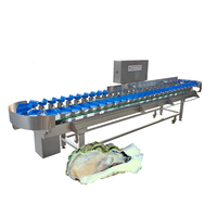 Nieuwe Automatische Vis-, Garnalen-, Trepang-, Kreeft- en Kogelkreeft-Sorteermachine met Oestergewichtsortering, 300KG Capaciteit, 1 Jaar Garantie