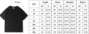 T-shirt de haute qualité coupe régulière 210g coton <span class=keywords><strong>3xl</strong></span> hommes t-shirt Streetwear hommes logo personnalisé t-shirt bouffée impression t-shirt pour hommes - Product Image 3