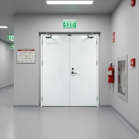 Portes coupe-feu en acier durables et résistantes au feu pour projets commerciaux, magasins, immeubles de bureaux, avec ferme-porte automatique