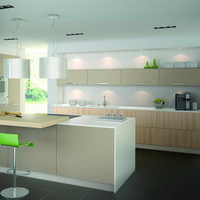 Projets de cuisine suspendus conception moderne d'armoires de cuisine pour la cuisine de la maison