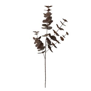 Qualidade <span class=keywords><strong>Eucalipto</strong></span> <span class=keywords><strong>artificial</strong></span> Deixa Unico <span class=keywords><strong>Eucalipto</strong></span> Stem Para decoración del hogar - Product Image 5