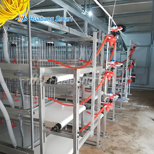 Bé gà lớp Gà Thịt chăn nuôi Lồng tự động cổ phiếu cha mẹ nuôi - Product Image 5