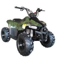 Chaîne de transmission automatique pour moto de course 36V, ATV TVS Tao Motor MUDHAWK110, Moto 4 roues 110, Moto 4 roues 125