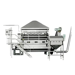 Weizen Mais Sojabohnen Hafer Flaker Mühle Getreide Mehl Mahl walze Mühle zum Zerkleinern von extrudiertem Soja Mais Getreide zu kleinen Flocken Pulver