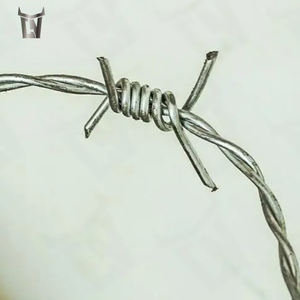 2025 Steel Bull Factory Venta directa Maquinilla <span class=keywords><strong>de</strong></span> afeitar <span class=keywords><strong>de</strong></span> <span class=keywords><strong>alambre</strong></span> <span class=keywords><strong>de</strong></span> hierro protector para cercas Acabado galvanizado para fines <span class=keywords><strong>de</strong></span> seguridad <span class=keywords><strong>Alambre</strong></span> <span class=keywords><strong>de</strong></span> púas - Product Image 1