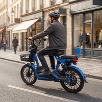 Vélo électrique chinois avec roue de 14 pouces, cadre en acier, 3 vitesses, batterie au plomb-acide, électronique, pour adultes