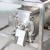 Volautomatische Sapfabriek Productie-En Verwerkingsmachine Mangosap Machine Mango Dubbelkanaals Klopper