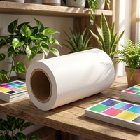 Papier autocollant imprimable jet d'encre, grand rouleau, blanc brillant, écologique, recyclable, imperméable, personnalisable
