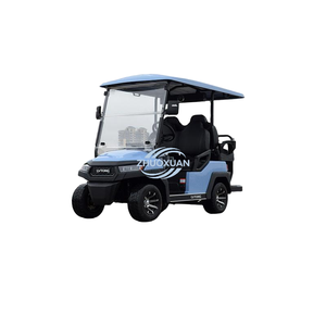 Voiturette de golf électrique 2 places, 48V 5kW, adaptée aux parcs, jardins et parcs d'attractions - Product Image 1