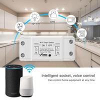 Interruptor Inteligente WiFi EWelink para Hogar Inteligente, Interruptor Universal DIY con Temporizador, Compatible con iOS, USB y Batería, Material de PC
