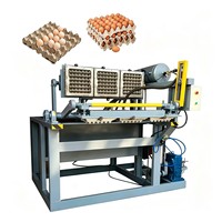 Machine pratique pour mini-plateaux à œufs en papier, solution de recyclage de papier usagé pour les petites entreprises de production de cartons à œufs